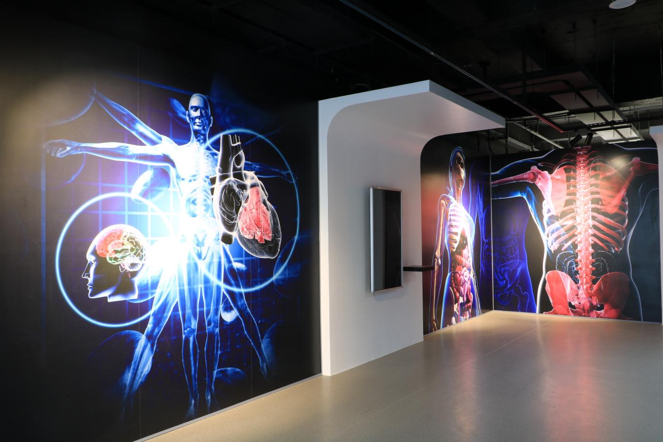 beat365正版官网人体科学馆数字解剖互动区