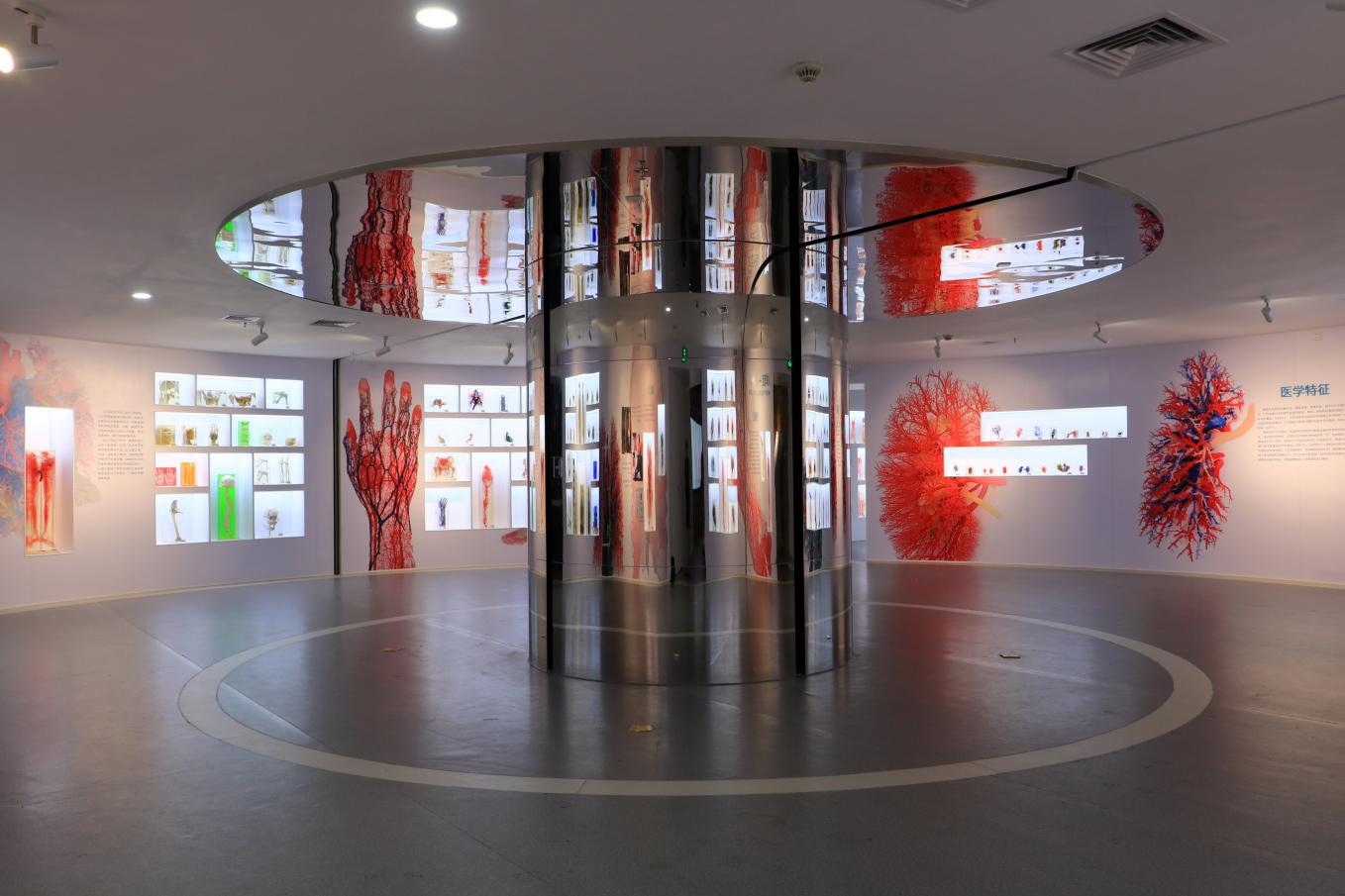 beat365正版官网人体科学馆精品展区